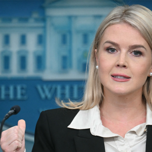 Trump has not directed admin to declassify Biden docs on health ‘cover-up’