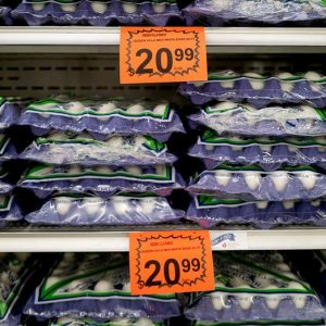 Cotton moves to loosen rules to boost supply of household staple, ease affordability crunch