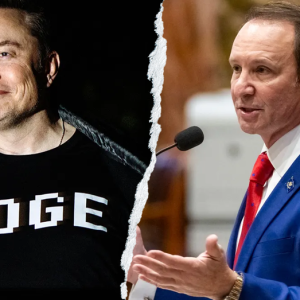 ‘LA DOGE’ delivers nearly $1 billion in savings for red state: ‘Unbelievably tremendous effort’