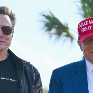 Democrats begin to embrace Musk amid Trump spat after party railed against him as a ‘dictator’