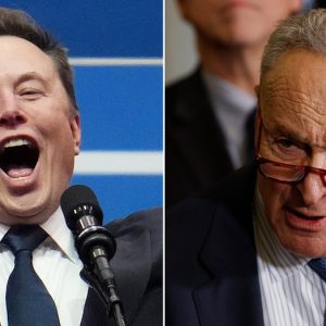 Elon Musk dunks on Sen Chuck Schumer, declaring ‘Hysterical reactions’ demonstrate DOGE’s importance