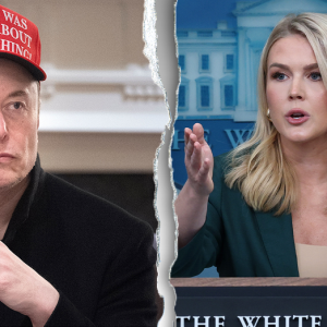 Elon Musk tapped to help lead investigation into Signal chat leak: White House