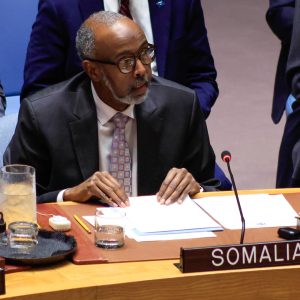 UN Security Council members condemn Israel’s recognition of Somaliland