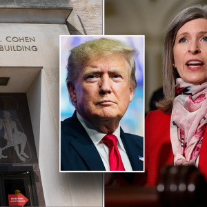 Top DOGE lawmaker says Trump ‘already racking up wins for taxpayers’ with efficiency initiatives