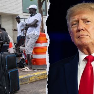 Trump order ending birthright citizenship for illegal immigrants is constitutional, expert says