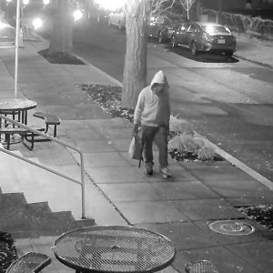 Who is Brian Cole Jr, the DC pipe bomb suspect?