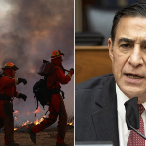 ‘We can’t wait’: Issa fights back against ‘green tape’ regulations impacting firefighters