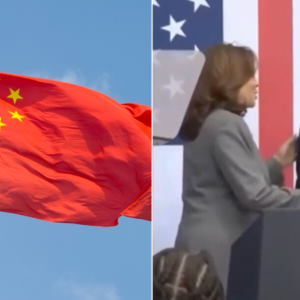 Unearthed report reveals powerful Harris ally ‘willing to share’ resources from Black businesses with CCP