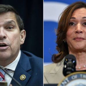 House Dem from border district dodges questions on Harris’ immigration record: ‘Was she a border czar?’