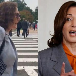 WATCH: House Dem makes bizarre claim while dodging question on VP Harris’ ‘border czar’ record