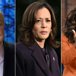 Kamala Harris campaign aide admits she never surpassed Trump in internal polls