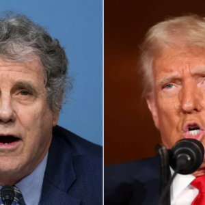 FLASHBACK: Vulnerable Dem senator accused voters supporting Trump of ‘racism’: ‘It works for them’