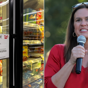 GOP governor calls on incoming Trump officials to ban junk food in food stamps: ‘Make America Healthy Again’