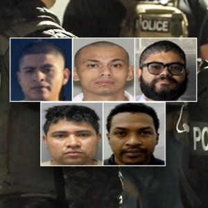 Child sex abuser, gang member among latest arrests as DHS slams sanctuary politicians