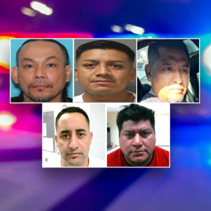 Illegal who conspired to bludgeon teen to death with baseball bat among latest ICE roundups