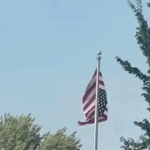 Upside-down American flag at Minnesota Somali celebration sparks community chaos: ‘Unfathomable’