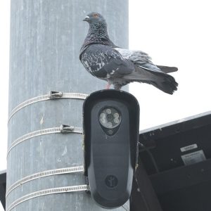 ‘Not 1984’: Flock cameras watching millions of Americans spark bipartisan revolt