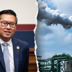 GOP lawmaker warns that blue state’s likely move will make gas prices skyrocket: ‘Affordability issue’