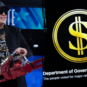 ‘Overwhelmingly popular’: Elon Musk touts Americans’ DOGE support
