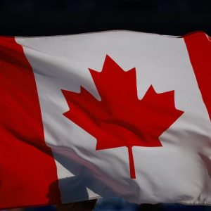 Trump trolling Canada as 51st state could boost Democrats with ‘blue-state behemoth’