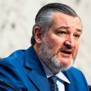 Cruz says winning AI race against China is ‘single most important economic question’ for America
