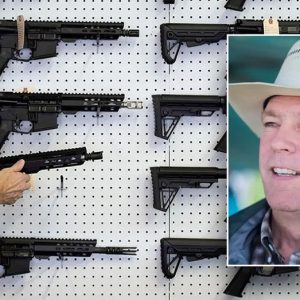 WATCH: Red state gov urges firearms makers to ditch Colorado amid its anti-gun push