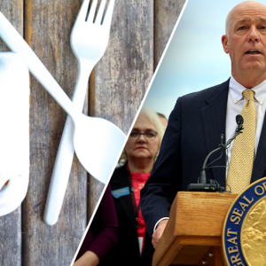 Red-state governor shoots down bill banning this common hospitality industry item