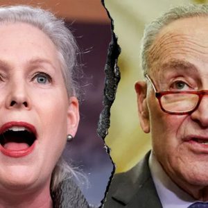 Dem heard screaming at colleagues despite Schumer’s unity claim as shutdown looms