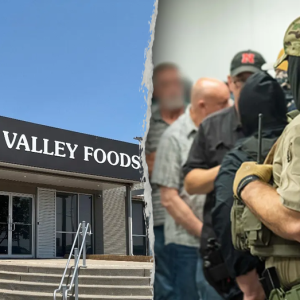 Massive identity theft scheme led by illegal immigrants uncovered after raid at meatpacking plant