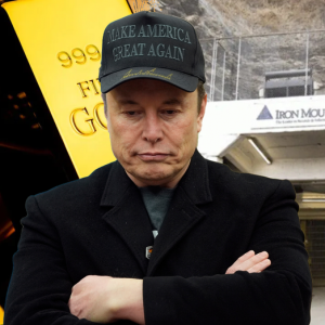 Elon Musk no longer working on DOGE efforts from White House: report
