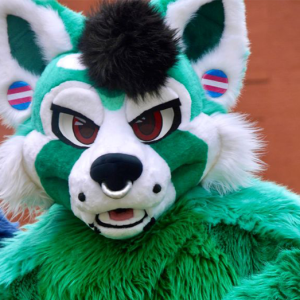 Texas lawmaker proposes bill targeting furries; measure seeks to ban ‘non-human behavior’ in schools