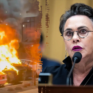 GOP lawmaker rips ‘lost in the wilderness’ DOGE protesters amid chaos at her town hall: ‘Highly orchestrated’