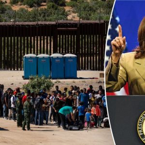 Flashback: Harris pushed Dems to reject funding for ICE detention beds, Border Patrol agents