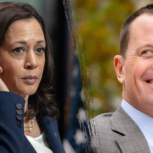 Top Trump official teases 2026 bid for California governor if Harris jumps in race
