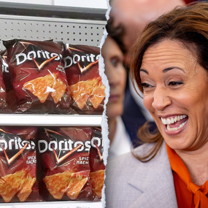 Kamala Harris roasted for trying to tie love of Doritos to Big Tech innovation during AI conference