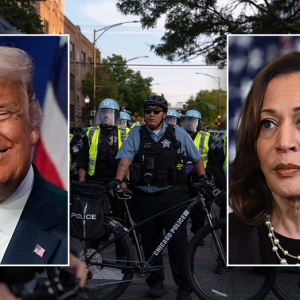 Police vote key to election as cops weigh ‘lawlessness vs law and order’ on ballot: retired chief