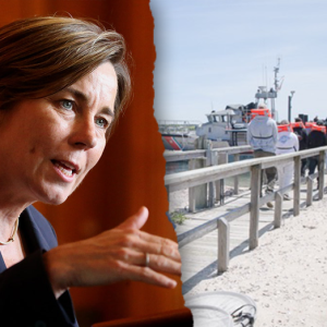 Blue state governor sounds off about ‘disturbing’ ICE operations on affluent liberal islands