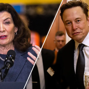 Major blue state offers to hire federal workers fired by DOGE: ‘Clueless cadre of career killers’