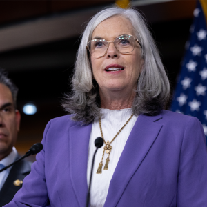 Top Democrat survives double-barreled challenge as party’s Israel divide hits home