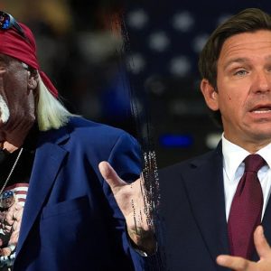 Heckler hijacks Florida governor’s Hulk Hogan tribute with profane tirade against ‘Alligator Alcatraz’