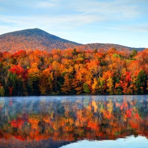 Vermont GOP sees ‘record’ ballot boost as blue-state citizens ‘see the need for change’