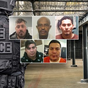 DHS says anti-ICE agitators helped child rapists, gang members evade deportation