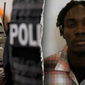 Illegal alien from Senegal charged with assaulting federal officers in alleged scissor attack at NYC facility