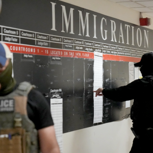 Illegal immigrants could dominate DC arrests under federalized police force, says expert