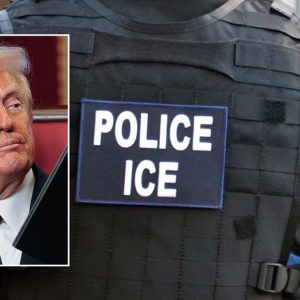 IRS sharing info with ICE would put illegal immigrants between ‘rock and a hard place’: expert