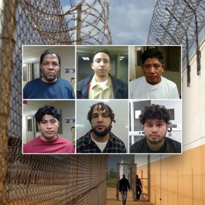 Sexual predators, drug traffickers among ICE’s ‘worst of the worst’ roundup in Virginia