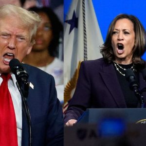 What issues do Trump and Harris want to fight the election on?