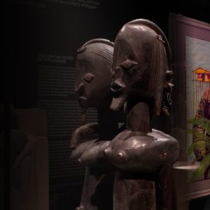 African Art Renaissance: Voices from the continent and the diaspora