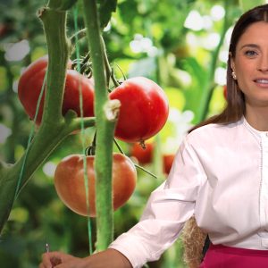 Are Gen Z rejecting city life for farm life?