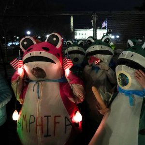 Demonstrators in frog costumes protest Trump’s State of the Union